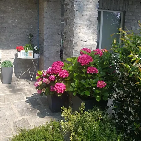 Ori Oriana Apartment