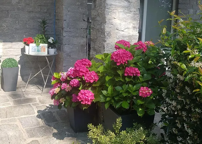 Ori Oriana アパート